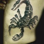 Photo tattoo zodiac sign scorpio 19.06.2019 №055 - tattoo zodiac sign - tattoovalue.net