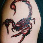 Photo tattoo zodiac sign scorpio 19.06.2019 №059 - tattoo zodiac sign - tattoovalue.net