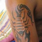 Photo tattoo zodiac sign scorpio 19.06.2019 №064 - tattoo zodiac sign - tattoovalue.net