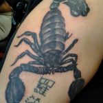 Photo tattoo zodiac sign scorpio 19.06.2019 №065 - tattoo zodiac sign - tattoovalue.net