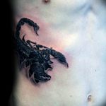 Photo tattoo zodiac sign scorpio 19.06.2019 №073 - tattoo zodiac sign - tattoovalue.net