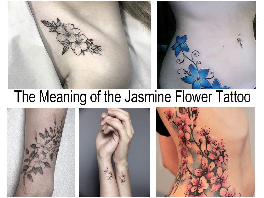 The Meaning of the Jasmine Flower Tattoo - information about the features of the picture and photo collection of examples of finished tattoo designs