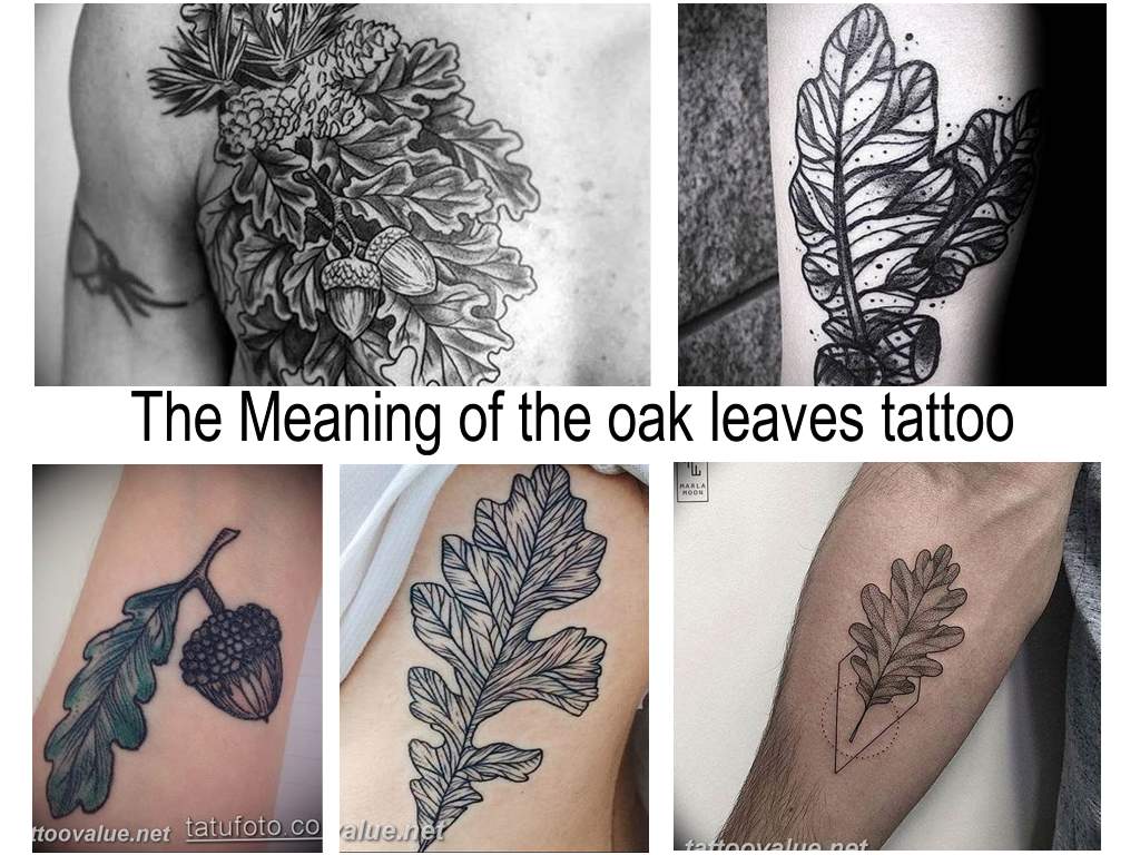 The Meaning of the oak leaves tattoo - information about the features of the picture and a collection of photo examples of finished tattoos