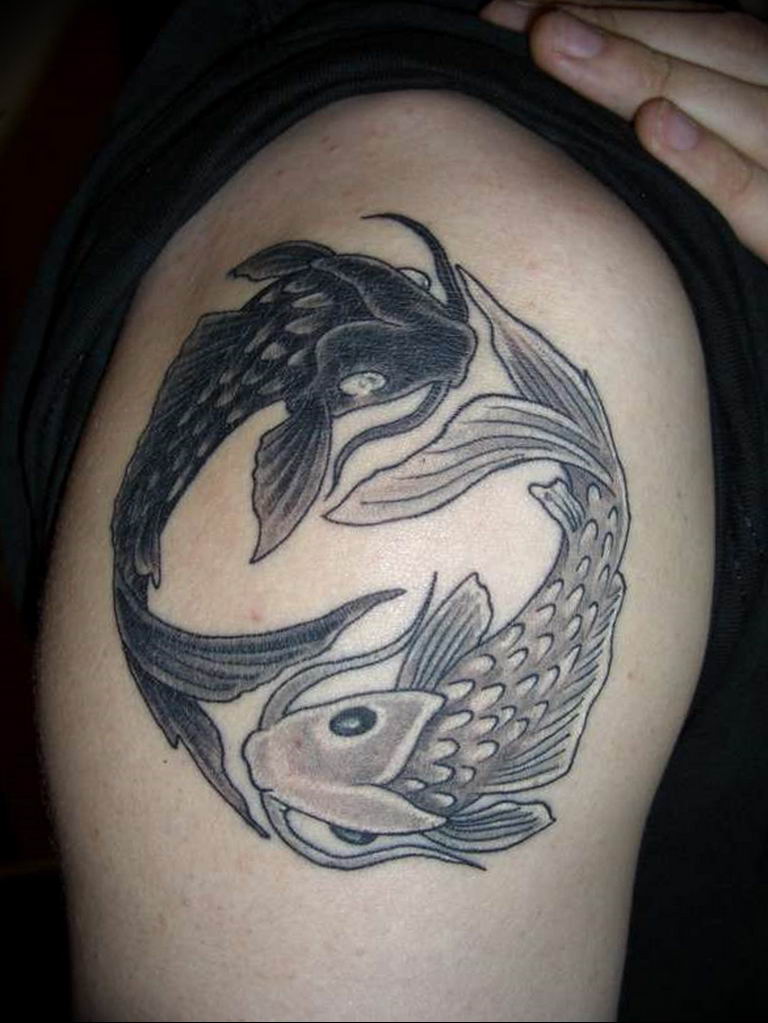Photo fish yin yang tattoo 15.07.2019 №031 - picture fish yin yang tattoo - tattoovalue.net