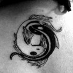 Photo fish yin yang tattoo 15.07.2019 №060 - picture fish yin yang tattoo - tattoovalue.net