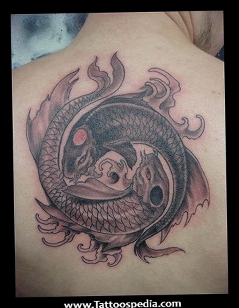 Photo fish yin yang tattoo 15.07.2019 №062 - picture fish yin yang tattoo - tattoovalue.net