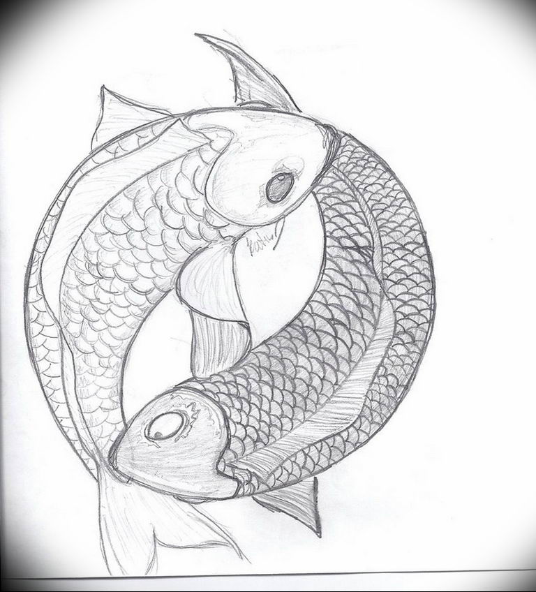 Photo fish yin yang tattoo 15.07.2019 №066 - picture fish yin yang tattoo - tattoovalue.net