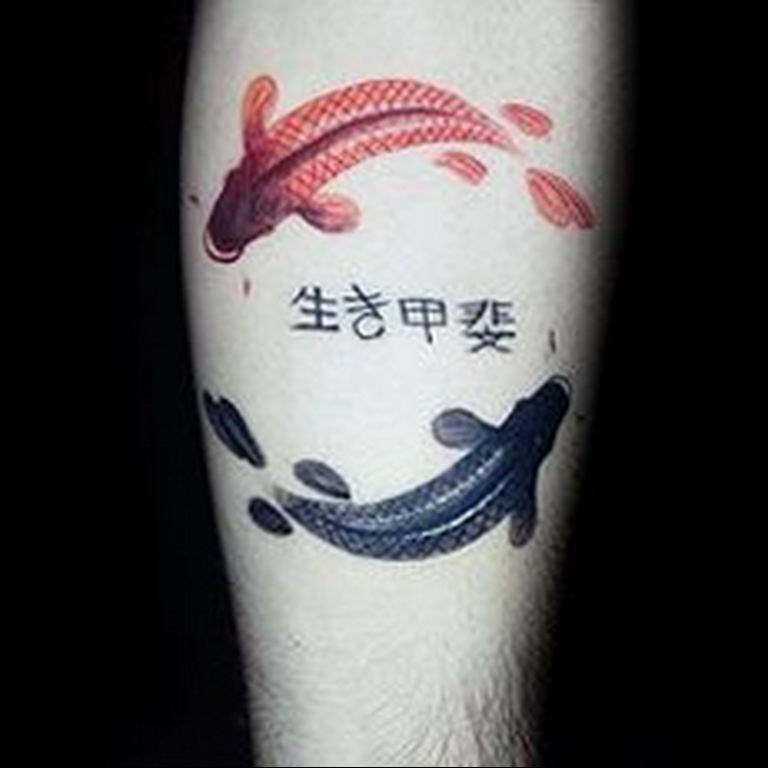 Photo fish yin yang tattoo 15.07.2019 №067 - picture fish yin yang tattoo - tattoovalue.net