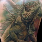 Photo tattoo iguana 31.07.2019 №008 - tattoo iguana example - tattoovalue.net