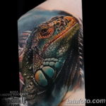 Photo tattoo iguana 31.07.2019 №013 - tattoo iguana example - tattoovalue.net
