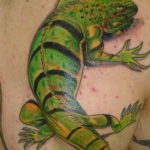Photo tattoo iguana 31.07.2019 №014 - tattoo iguana example - tattoovalue.net