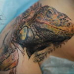 Photo tattoo iguana 31.07.2019 №028 - tattoo iguana example - tattoovalue.net