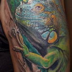 Photo tattoo iguana 31.07.2019 №029 - tattoo iguana example - tattoovalue.net