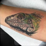 Photo tattoo iguana 31.07.2019 №044 - tattoo iguana example - tattoovalue.net