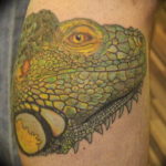 Photo tattoo iguana 31.07.2019 №065 - tattoo iguana example - tattoovalue.net