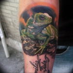 Photo tattoo iguana 31.07.2019 №069 - tattoo iguana example - tattoovalue.net