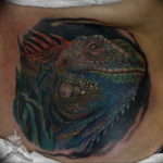 Photo tattoo iguana 31.07.2019 №073 - tattoo iguana example - tattoovalue.net