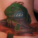 Photo tattoo iguana 31.07.2019 №080 - tattoo iguana example - tattoovalue.net
