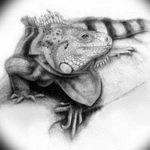 Photo tattoo iguana 31.07.2019 №086 - tattoo iguana example - tattoovalue.net