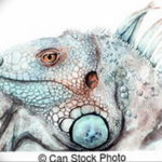 Photo tattoo iguana 31.07.2019 №098 - tattoo iguana example - tattoovalue.net