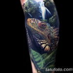 Photo tattoo iguana 31.07.2019 №104 - tattoo iguana example - tattoovalue.net