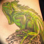Photo tattoo iguana 31.07.2019 №112 - tattoo iguana example - tattoovalue.net