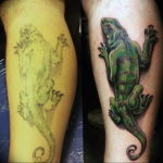 Photo tattoo iguana 31.07.2019 №126 - tattoo iguana example - tattoovalue.net