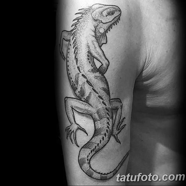 Photo tattoo iguana 31.07.2019 №141 - tattoo iguana example - tattoovalue.net