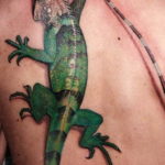 Photo tattoo iguana 31.07.2019 №142 - tattoo iguana example - tattoovalue.net