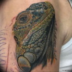 Photo tattoo iguana 31.07.2019 №153 - tattoo iguana example - tattoovalue.net