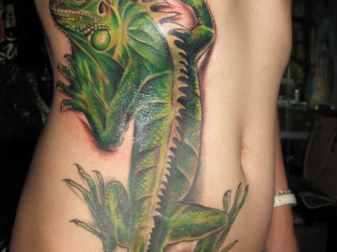 Photo tattoo iguana 31.07.2019 №158 - tattoo iguana example - tattoovalue.net