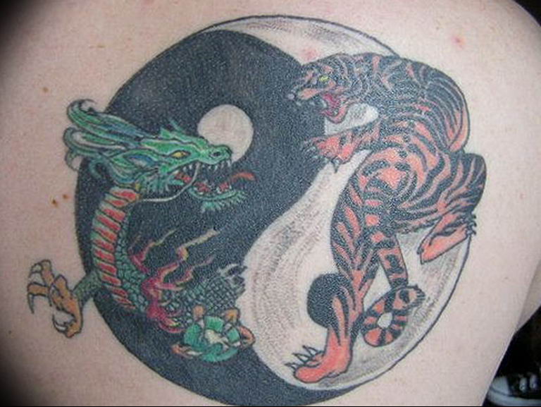 Photo Yin Yang Tiger Tattoo 15072019 020 Yin Yang Tiger