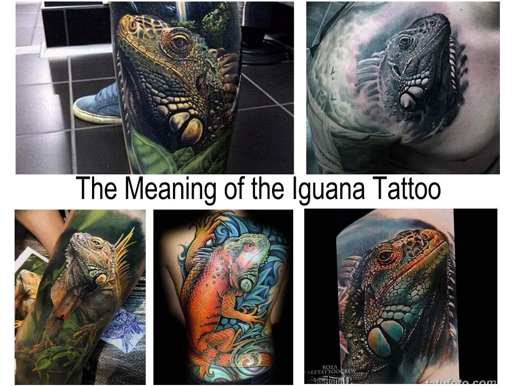 The Meaning of the Iguana Tattoo - information about the features of the picture and a collection of photo examples