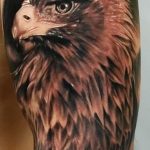 photo Golden Eagle tattoo 12.07.2019 №003 - example of drawing tattoo eagle - tattoovalue.net