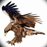 photo Golden Eagle tattoo 12.07.2019 №019 - example of drawing tattoo eagle - tattoovalue.net