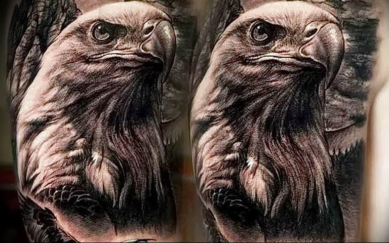 Photo Golden Eagle Tattoo 12072019 043 Example Of