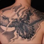 photo Golden Eagle tattoo 12.07.2019 №076 - example of drawing tattoo eagle - tattoovalue.net