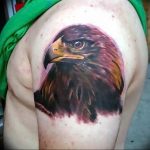 photo Golden Eagle tattoo 12.07.2019 №011 - example of drawing tattoo eagle - tattoovalue.net