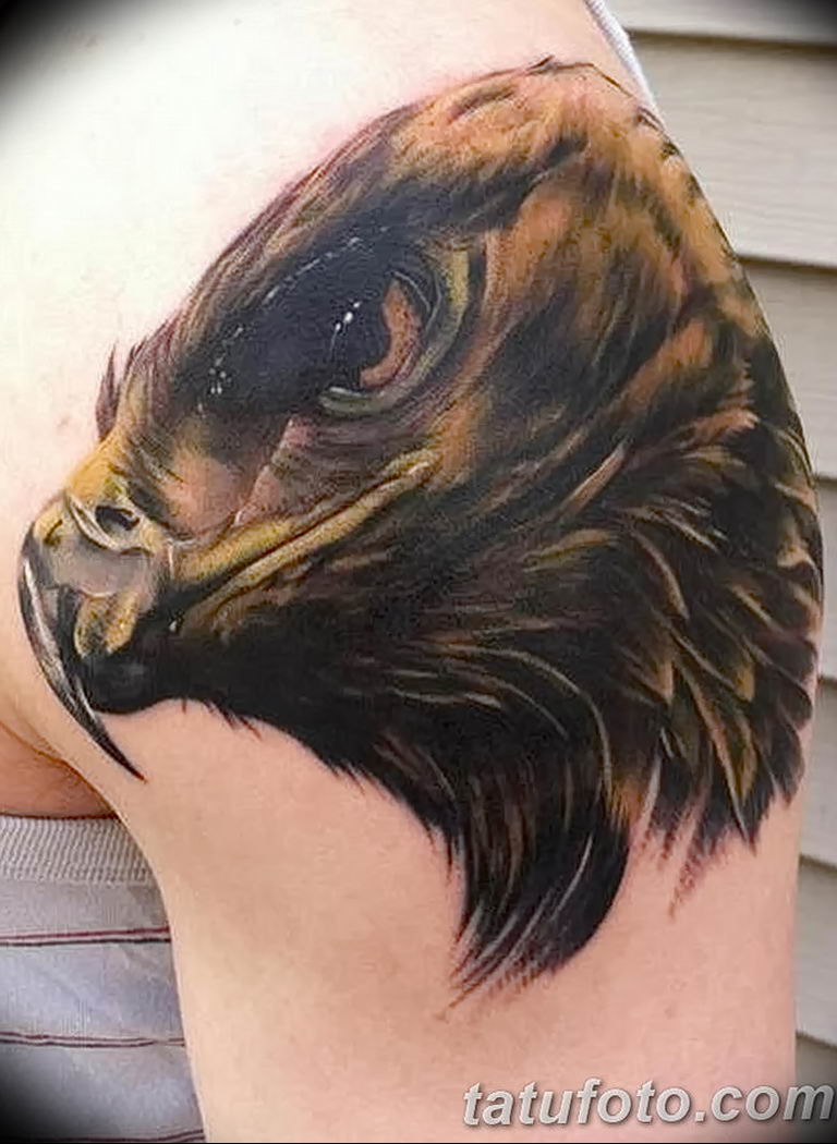 photo Golden Eagle tattoo 12.07.2019 №018 - example of drawing tattoo eagle - tattoovalue.net