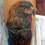 photo Golden Eagle tattoo 12.07.2019 №023 - example of drawing tattoo eagle - tattoovalue.net