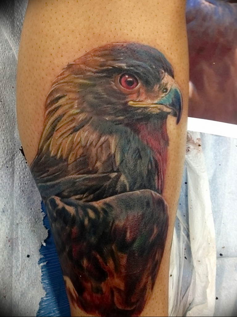 photo Golden Eagle tattoo 12.07.2019 №023 - example of drawing tattoo eagle - tattoovalue.net
