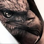 photo Golden Eagle tattoo 12.07.2019 №025 - example of drawing tattoo eagle - tattoovalue.net