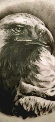 photo Golden Eagle tattoo 12.07.2019 №026 – example of drawing tattoo eagle – tattoovalue.net