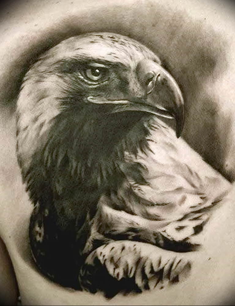 photo Golden Eagle tattoo 12.07.2019 №026 - example of drawing tattoo eagle - tattoovalue.net