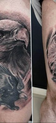 photo Golden Eagle tattoo 12.07.2019 №028 – example of drawing tattoo eagle – tattoovalue.net
