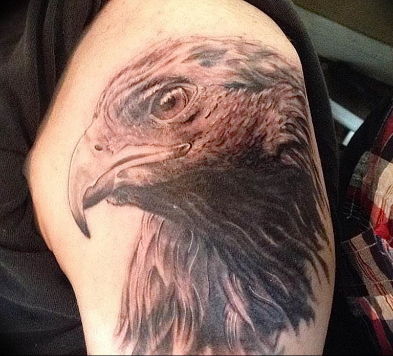 photo Golden Eagle tattoo 12.07.2019 №030 - example of drawing tattoo eagle - tattoovalue.net