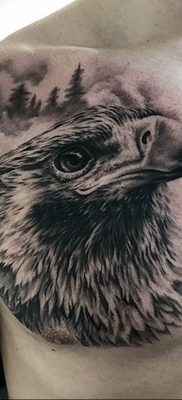photo Golden Eagle tattoo 12.07.2019 №032 – example of drawing tattoo eagle – tattoovalue.net