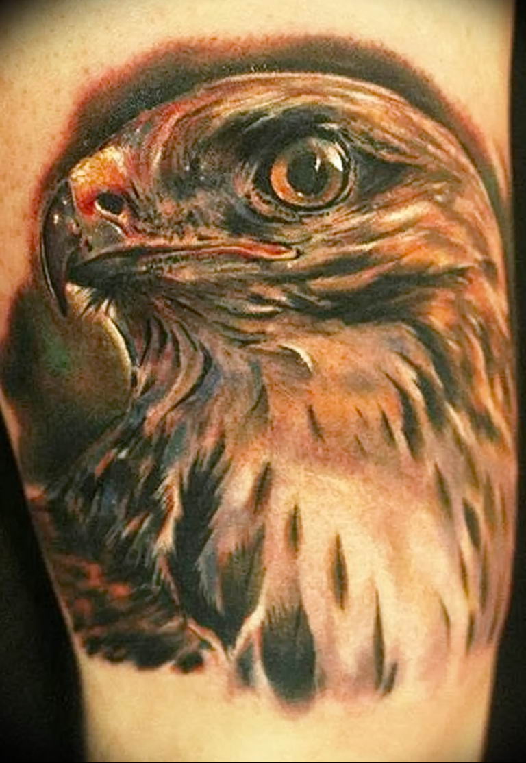 photo Golden Eagle tattoo 12.07.2019 №036 - example of drawing tattoo eagle - tattoovalue.net