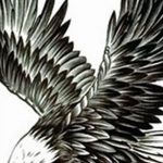 photo Golden Eagle tattoo 12.07.2019 №040 - example of drawing tattoo eagle - tattoovalue.net