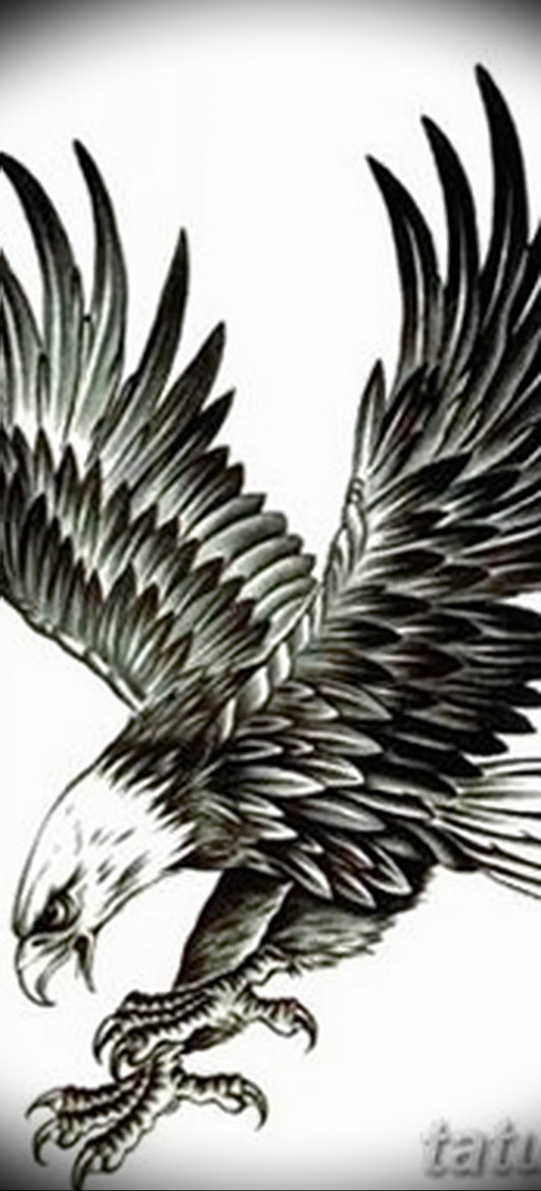 photo Golden Eagle tattoo 12.07.2019 №040 - example of drawing tattoo eagle - tattoovalue.net